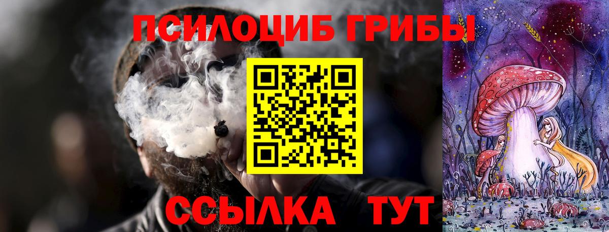 Екатеринбург  Галлюциногенные грибы Cubensis  Галлюциногенные грибы ЛСД  Вход с VPN 